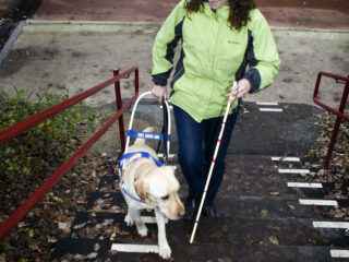 Hulphonden onmisbaar, maar tekort aan gastgezinnen: 'Die hond geeft mij mijn leven terug'