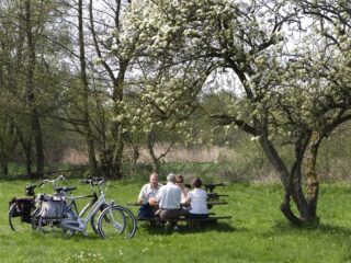 Zutphens Knarrenhof voor ouderen: zelfstandig wonen zolang het kan