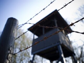 Eigen onderzoek naar familie: 'meerdere blijken toch de oorlog te hebben overleefd’