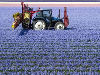 Cocktail aan gifstoffen gemeten in de lucht bij Drentse basisschool