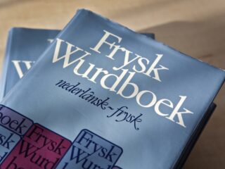 Waarom zijn er in Nederland zoveel dialecten?