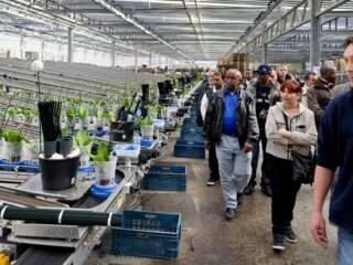Is er een toekomst voor de glastuinbouw zonder arbeidsmigranten?