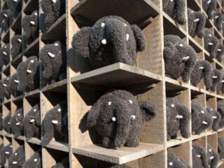 Zijn knuffeldieren ook goed voor volwassenen?