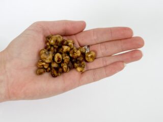 Microdosing van psychedelische drugs: werkt dat?