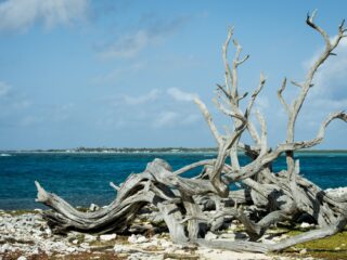 Groot deel van Bonaire krijgt aansluiting op riool