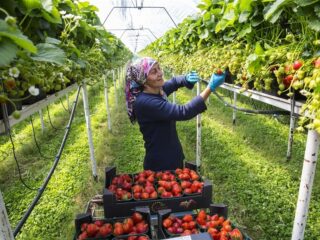 Arbeidsmigranten zijn hard nodig, maar huisvestingskwestie vraagt om landelijk beleid