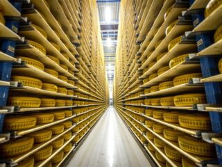 De Hollandse droom van migrant Mustapha: kaasmaker worden