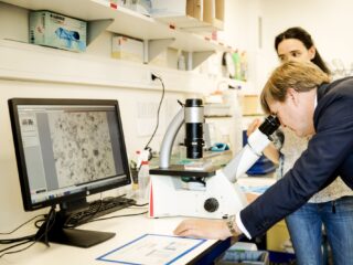 Onderzoek leert ons steeds meer over stamcellen: hoe gaat stamceltherapie in zijn werk?