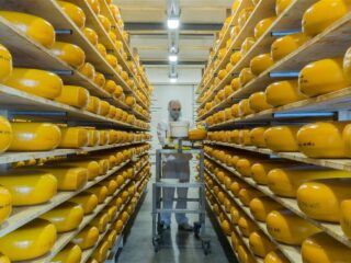 Is dierloze kaas onze redding in de strijd tegen klimaatverandering?