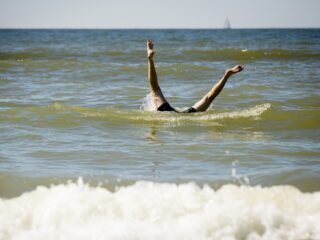Waarom is de zee in de Caraïben zo blauw en helder en is de Noordzee zo troebel?