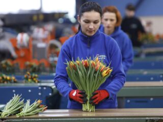 Nieuwe kabinet wacht flinke kluif op terugdringen arbeidsmigratie