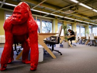 Voor mensen met een neurodivers brein is de werkvloer een jungle. Zo kan het beter