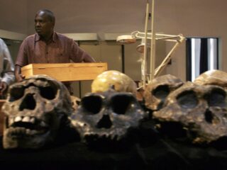 Zou er nog een nieuwe mensensoort kunnen ontstaan?