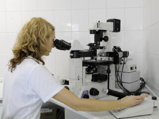 Nederlandse megadonor zorgt voor limiet op Tsjechische spermadonaties