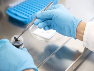 Hoe DNA-onderzoek uitgroeide tot onmisbaar opsporingsmiddel