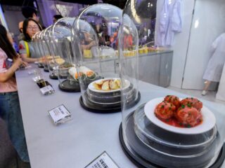 Kweekvlees bestaat 10 jaar, maar wanneer ligt het op ons bord?