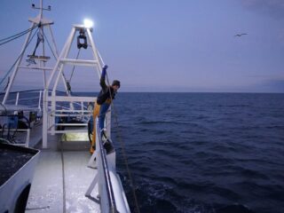 Wat is er overgebleven van het zeeleven op de Doggersbank?