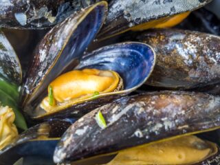 Waarom gaat het dit jaar zo goed met de mossel?