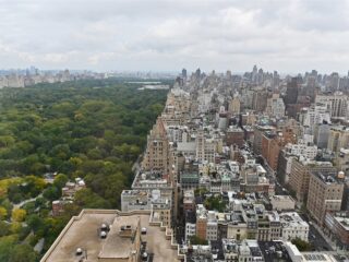 Wat doet een walvis in New York?