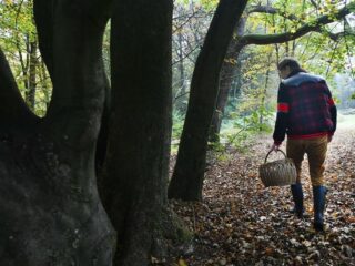 'Ik knip toch ook niet de rozen uit jouw tuin', zegt boa over wildplukkers in de Nederlandse bossen