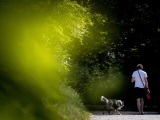 Idee van de vijftienminutenstad voer voor complotdenkers: waarom?