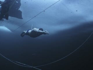 130 meter de diepte in op één adem: de romantiek van het freediven