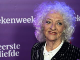 De column van Nelleke Noordervliet: Sloopkogel