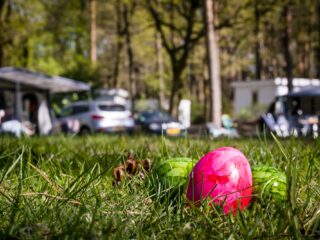 Waarom verstoppen we paaseitjes en waar komt de Paashaas vandaan?