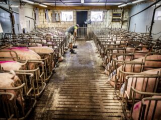 'Uitkoopregeling piekbelasters zal natuur niet ten goede komen'