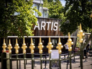 'Er zijn nooit onderduikers opgepakt in Artis'