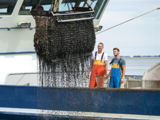 'Natuurcompensatie? Ze hebben maar één doel: onze vissers weg hebben'
