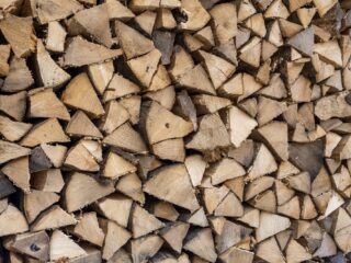 Longarts Ismé de Kleer: 'Houtkachels maken ziek'