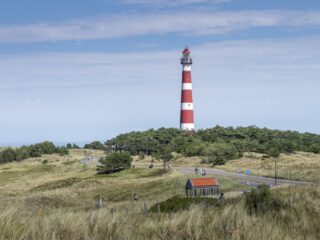 Oproep na problemen met exotische planten op Waddeneilanden: 'Geen exoot in de sloot'