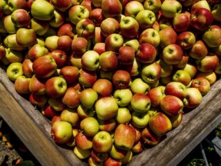 Meer PFAS gespoten op groente en fruit in Nederland: 'Een slechte ontwikkeling'