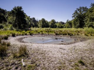 KNMI voorspelt onze klimaatscenario's: 'Best een heftige boodschap'