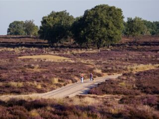 Amsterdam? Nee, dit zijn écht de mooiste plekken van Nederland