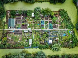 Ruzies en conflicten in de volkstuin: 'Mensen met verschillende achtergronden moeten het met elkaar rooien'