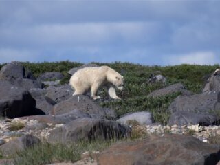 Stand.nl: 'Deze verkiezingen zouden veel meer over klimaat moeten gaan'