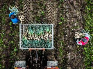 OVV start onderzoek naar veiligheid arbeidsmigranten op de werkvloer