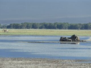 Wie trekt de portemonnee voor het klimaat?