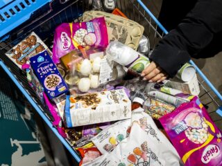 We hebben allemaal een hamster in ons brein - en dit is wat hij veroorzaakt