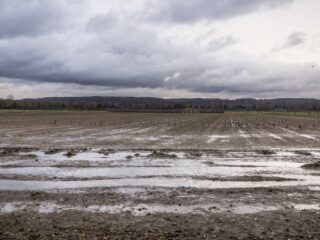 Regen blijft maar vallen: 'Drie keer zoveel als anders'