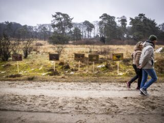 De natuur in Nederland gaat alleen maar verder achteruit, stelt ecoloog Mark Zekhuis