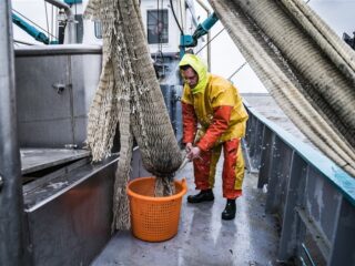 Natuurcompensatie: spannend jaar voor de Zeeuwse en Zuid-Hollandse vissers