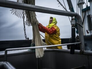 'Dit is niet alleen het einde van de garnalenvisserij, maar van de totale visserij'