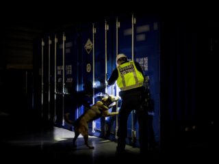 Zijn er drugs met jouw trosje bananen meegelift?