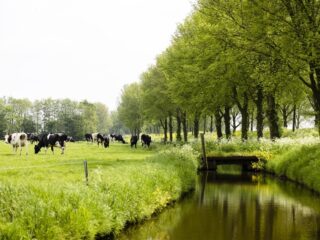 Stand.nl: 'De Natuurherstelwet van Timmermans moet er komen'