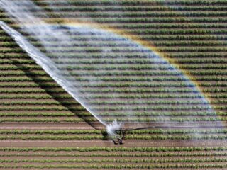 Waterbeheer moet anders: niet anticiperen op te veel water, maar juist op te weinig