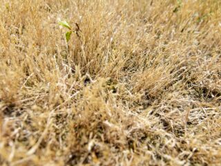 Waarom is niemand alert bij een weeralarm?