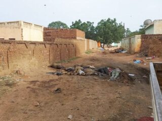 Bewijs van etnische massaslachting gevonden in afgelegen Sudanese regio Darfur